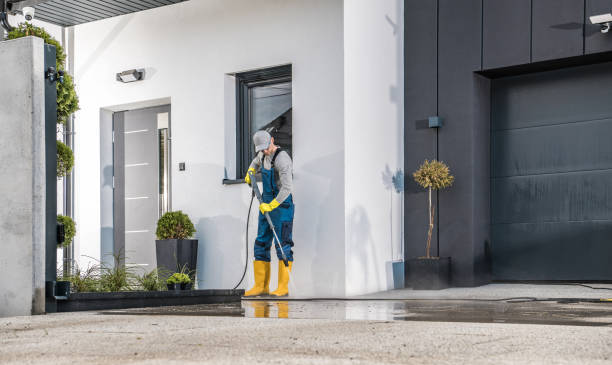 Best Roof Cleaning and Mildew Removal in Millington, NJ
